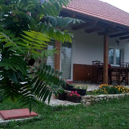 Nektar Park Villa Sara Bihać Екстериор снимка