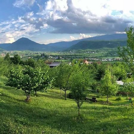 Nektar Park Villa Sara Bihać Екстериор снимка