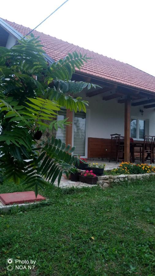 Nektar Park Villa Sara Bihać Екстериор снимка