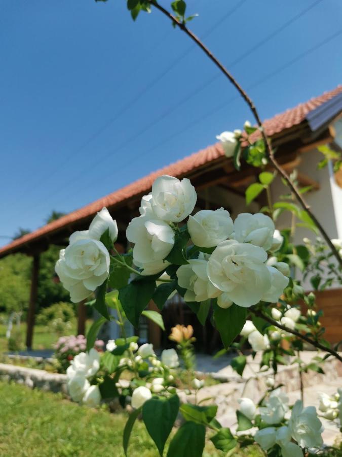 Nektar Park Villa Sara Bihać Екстериор снимка