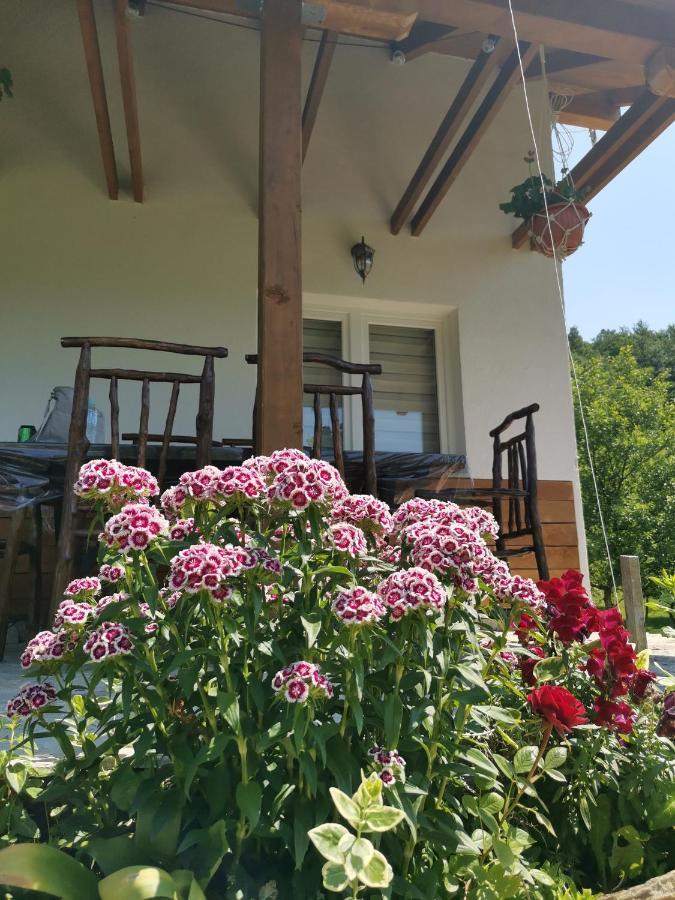 Nektar Park Villa Sara Bihać Екстериор снимка