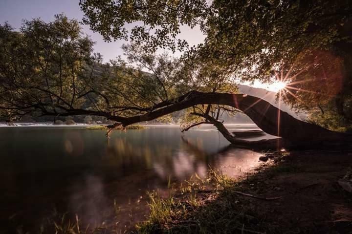 Nektar Park Villa Sara Bihać Екстериор снимка