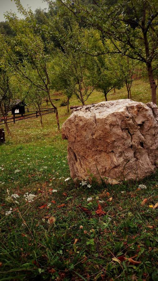 Nektar Park Villa Sara Bihać Екстериор снимка